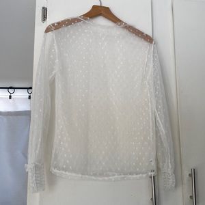 Polka dot mesh see through top